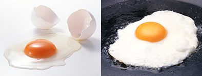 ̔gMŌł܂ʐ^